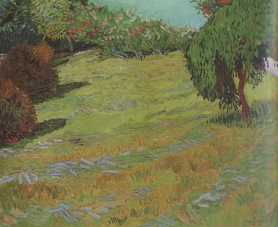 Vincent Van Gogh Sunny Lawn in a Public Pack (nn04) china oil painting image